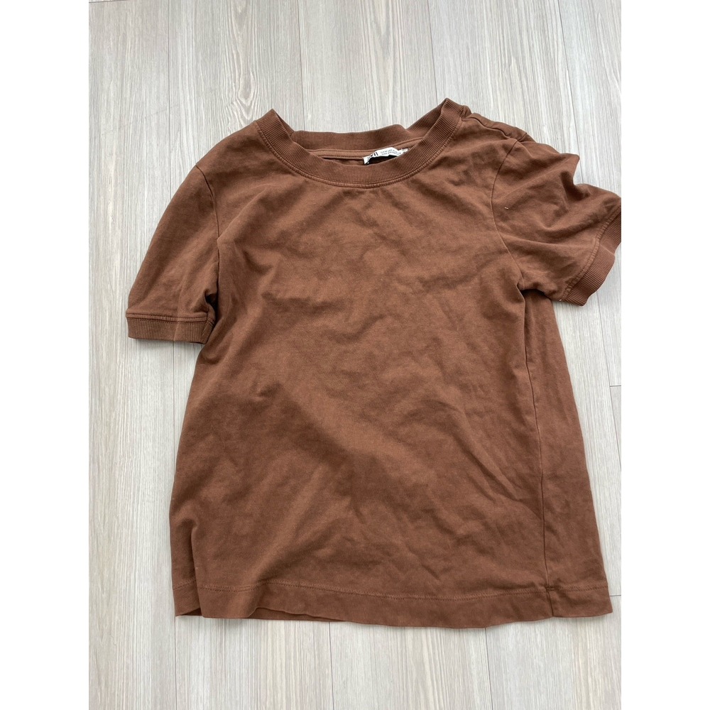 Zara Chocolate Brown Crewneck Tee Short Sleeve Size Medium Autumn Layering